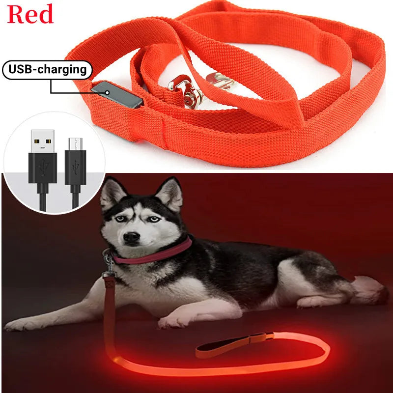 Led Pet Dog Leash Rope With Light Luminous Lead Leash USB Charging for Dog Safety Flashing Glowing Collar Harness Accessories