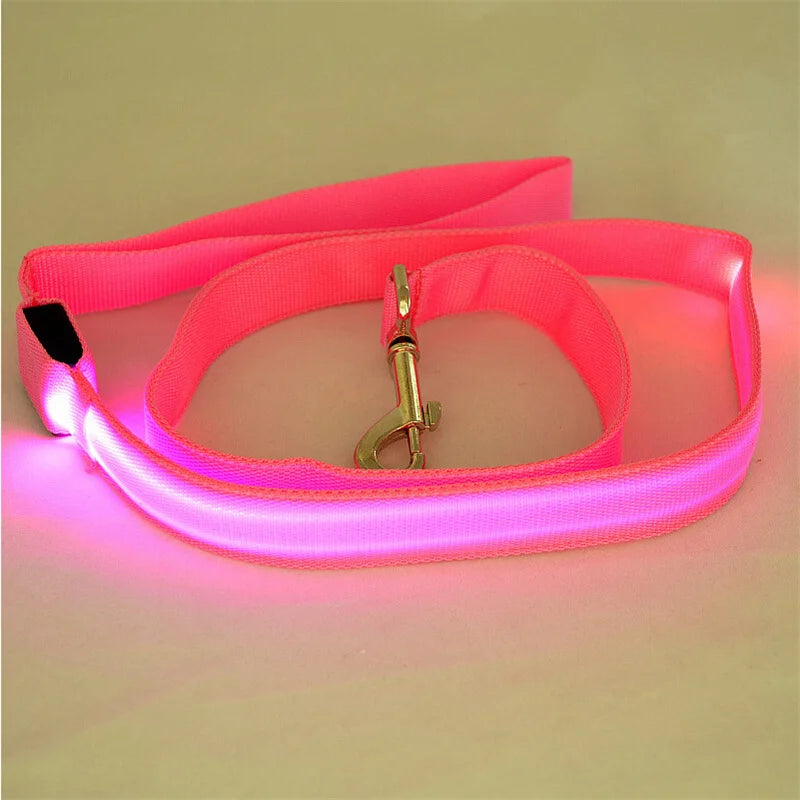 Led Pet Dog Leash Rope With Light Luminous  Lead Leash USB Charging for Dog Safety Flashing Glowing Collar Harness Accessories