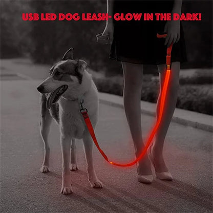 Led Pet Dog Leash Rope With Light Luminous  Lead Leash USB Charging for Dog Safety Flashing Glowing Collar Harness Accessories