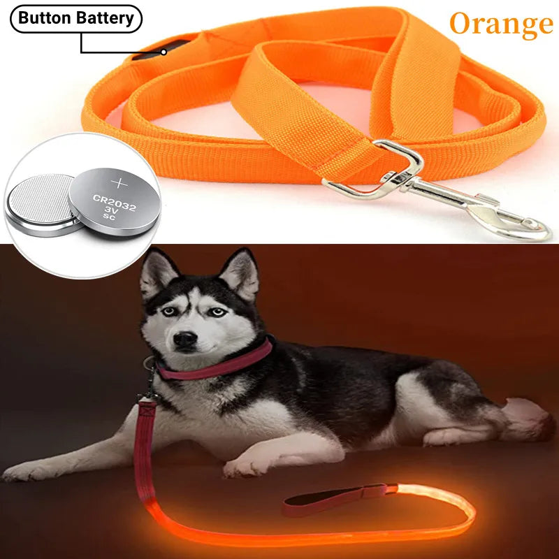 Led Pet Dog Leash Rope With Light Luminous  Lead Leash USB Charging for Dog Safety Flashing Glowing Collar Harness Accessories