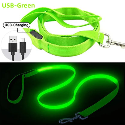Led Pet Dog Leash Rope With Light Luminous  Lead Leash USB Charging for Dog Safety Flashing Glowing Collar Harness Accessories