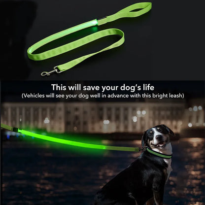 Led Pet Dog Leash Rope With Light Luminous  Lead Leash USB Charging for Dog Safety Flashing Glowing Collar Harness Accessories
