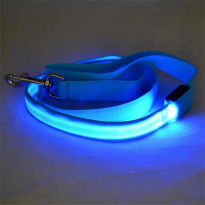 Led Pet Dog Leash Rope With Light Luminous  Lead Leash USB Charging for Dog Safety Flashing Glowing Collar Harness Accessories