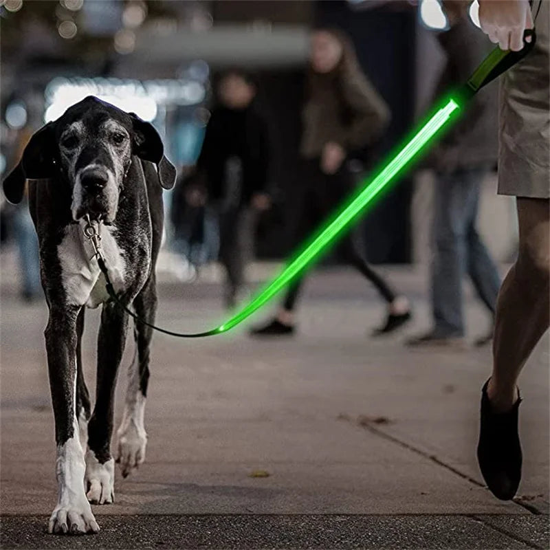Led Pet Dog Leash Rope With Light Luminous  Lead Leash USB Charging for Dog Safety Flashing Glowing Collar Harness Accessories