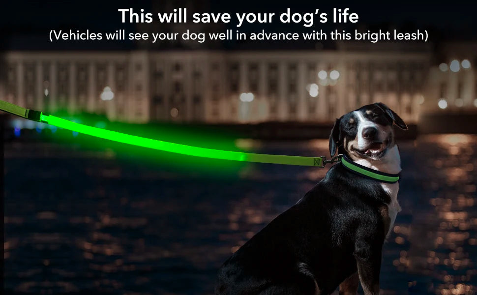Led Pet Dog Leash Rope With Light Luminous  Lead Leash USB Charging for Dog Safety Flashing Glowing Collar Harness Accessories