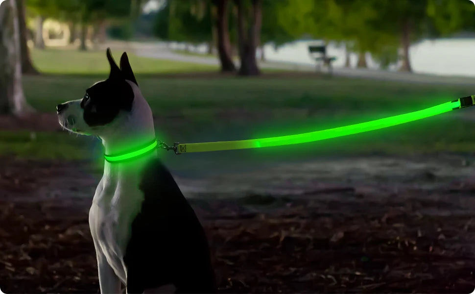 Led Pet Dog Leash Rope With Light Luminous  Lead Leash USB Charging for Dog Safety Flashing Glowing Collar Harness Accessories