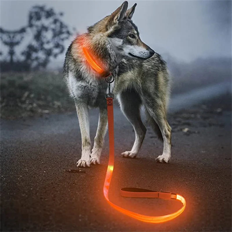 Led Pet Dog Leash Rope With Light Luminous  Lead Leash USB Charging for Dog Safety Flashing Glowing Collar Harness Accessories