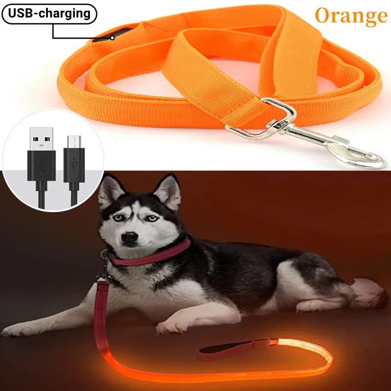 Led Pet Dog Leash Rope With Light Luminous  Lead Leash USB Charging for Dog Safety Flashing Glowing Collar Harness Accessories
