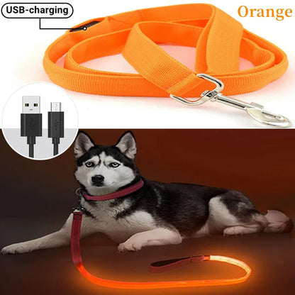 Led Pet Dog Leash Rope With Light Luminous  Lead Leash USB Charging for Dog Safety Flashing Glowing Collar Harness Accessories
