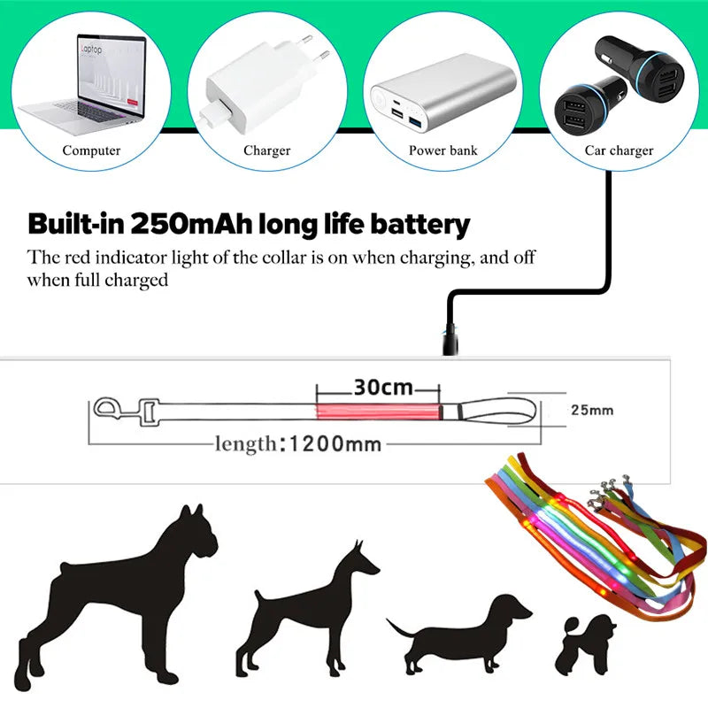 Led Pet Dog Leash Rope With Light Luminous  Lead Leash USB Charging for Dog Safety Flashing Glowing Collar Harness Accessories