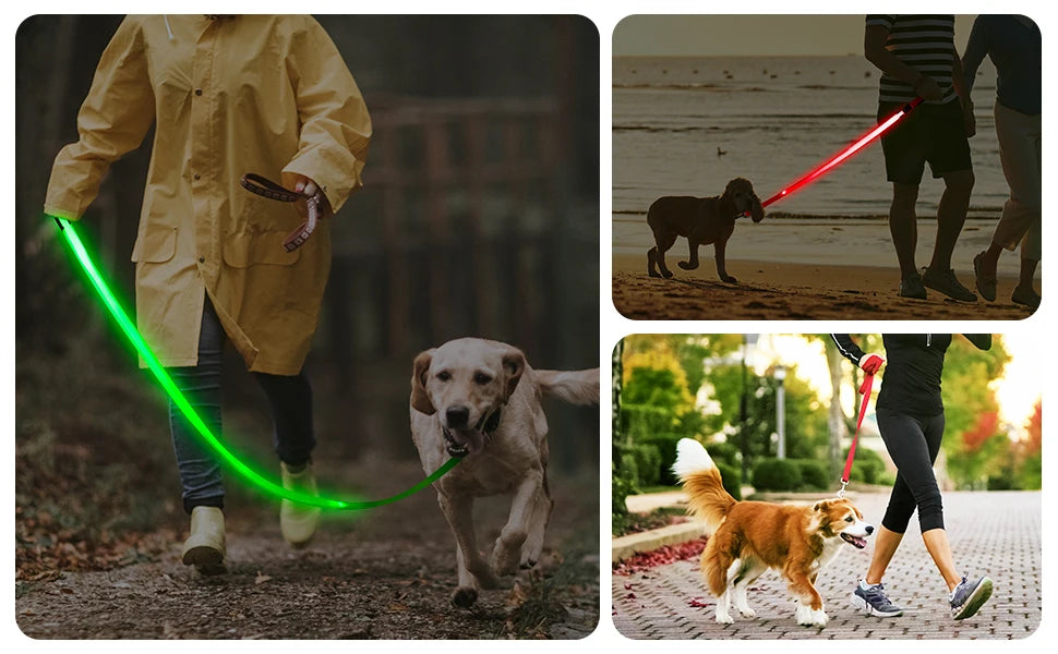 Led Pet Dog Leash Rope With Light Luminous  Lead Leash USB Charging for Dog Safety Flashing Glowing Collar Harness Accessories