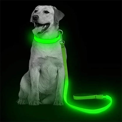 Led Pet Dog Leash Rope With Light Luminous  Lead Leash USB Charging for Dog Safety Flashing Glowing Collar Harness Accessories